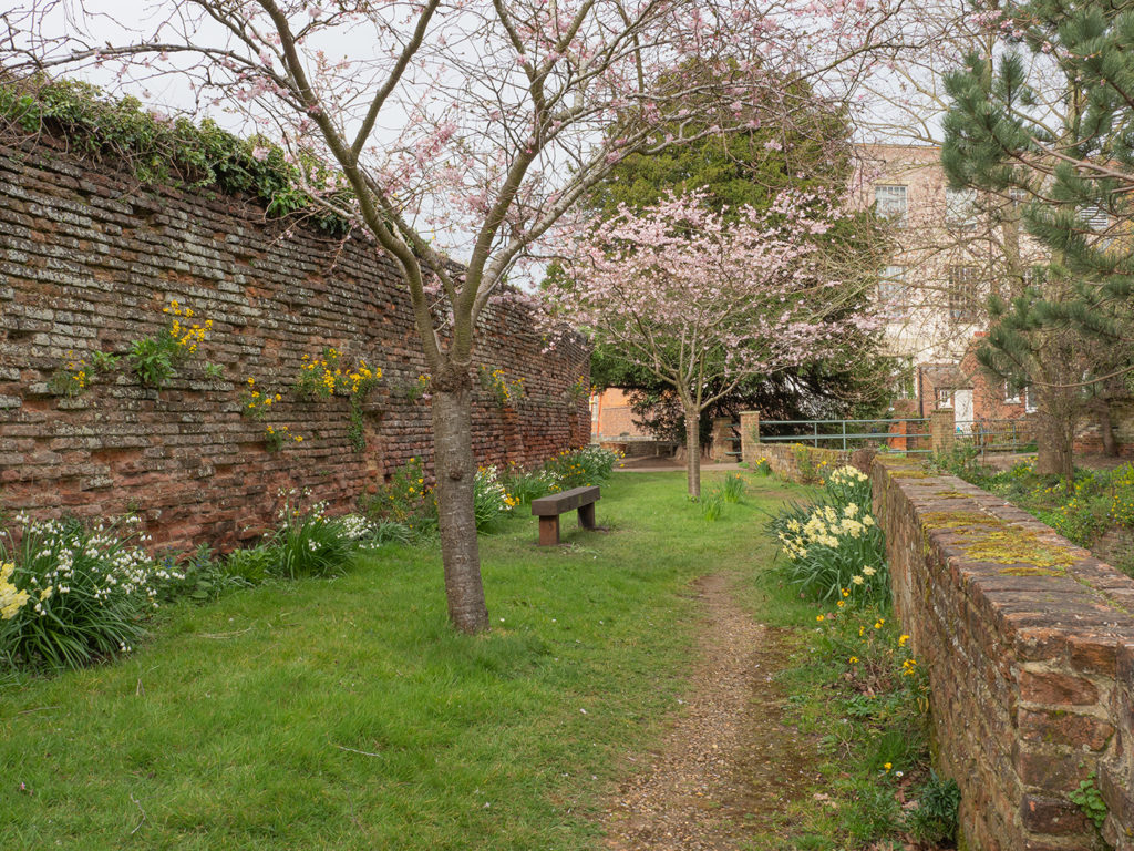 A riverbank walkway with historic wall, blossoming tree and bench