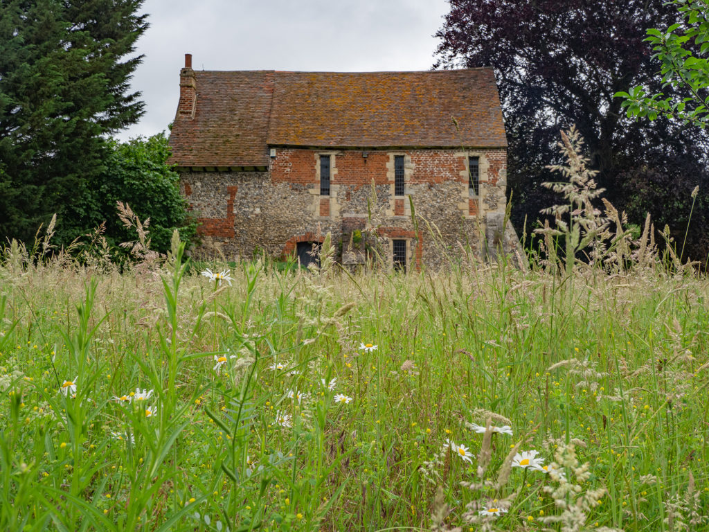 The Greyfriars Chapel with a wild meadow