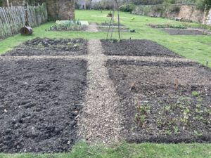 This Week in the Garden... 16th March 2022